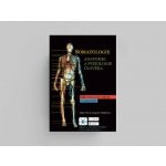 Somatologie Anatomie a fyziol. Člověka – Sleviste.cz