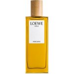 Loewe Solo Mercurio parfémovaná voda pánská 50 ml – Hledejceny.cz