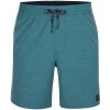 Pánské kraťasy a šortky O'Neill pánské kraťasy ALL DAY SOLID HYBRID shorts 2800048-15010 modré