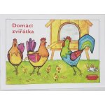 MFP Omalovánky A5 Domácí zvířátka – Zboží Dáma