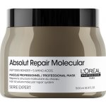 L'Oréal Professionnel Serie Expert Absolut Repair Molecular Mask 500 ml – Hledejceny.cz
