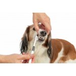 Trixie Tříhlavý zubní kartáček pro psy/kočky 18cm bílá/šedá – Zboží Dáma