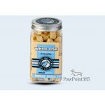 KIWI WALKER Pochoutka mrazem sušené rybí maso 70 g – Zbozi.Blesk.cz