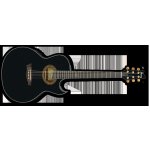 IBANEZ EP 5 P – Zbozi.Blesk.cz