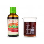 Bylinné kapky Bršlice kapky Duše rostlin tinktura 50 ml – Hledejceny.cz