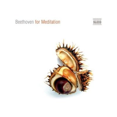 Beethoven Ludwig Van - Beethoven For Meditation CD