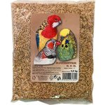 Avicentra oves nahý 1 kg – Zboží Dáma