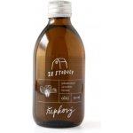 ZE STODOLY Za studena lisovaný olej řepkový 0,25 l – Zboží Dáma