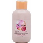 Inebrya Ice Cream Keratin Restructuring Shampoo 100 ml – Zbozi.Blesk.cz