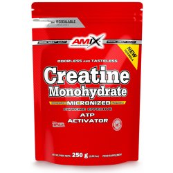 Amix Creatine monohydrate 250 g