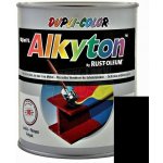 Alkyton mat RAL 9005 černá 250 ml – Zbozi.Blesk.cz
