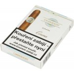 Candlelight Corona Sumatra 5 ks – Zboží Dáma