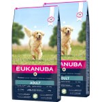 Eukanuba Adult Large Breed Lamb & Rice 2 x 12 kg – Hledejceny.cz