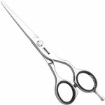 Jaguar Champion Class Diamond E nůžky na vlasy kadeřnické Profi 5,5´ 21155 – Zbozi.Blesk.cz