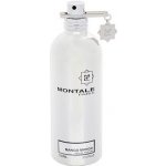 Montale Mango Manga parfémovaná voda unisex 100 ml – Hledejceny.cz