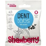 DENTTABS přírodní v tabletách s fluoridem jahoda 125 ks 40 g – Hledejceny.cz