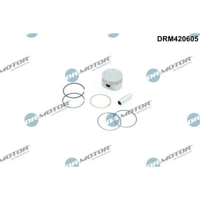Dr.Motor Automotive DRM420605 – Hledejceny.cz