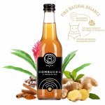 Bala21 Kombucha Zázvor s probiotiky 330 ml – Hledejceny.cz