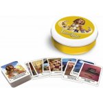 Asmodee TimeLine Klasik – Hledejceny.cz