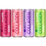 Alldeynn kolagenový nápoj 330 ml Melon - Jabłko – Hledejceny.cz
