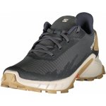 Salomon Hypulse black/Rainy Day/black – Zboží Mobilmania