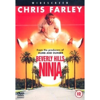 Beverly Hills Ninja DVD