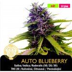 Drskunk Auto Blueberry Feminizováno semena neobsahují THC 1 ks – Hledejceny.cz