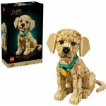 LEGO® Icons 11384 Štěně zlatého retrívra – Hledejceny.cz