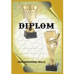 VIZINGR Florbal diplom A4 č.17 – Hledejceny.cz
