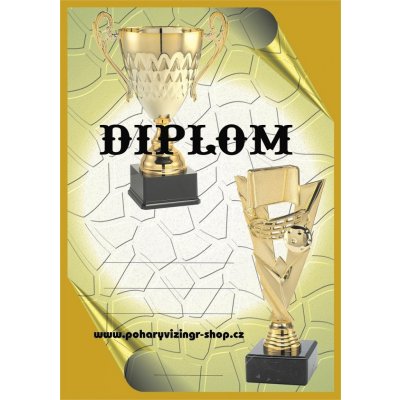 VIZINGR Florbal diplom A4 č.17 – Hledejceny.cz