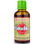 Bylinné kapky Pokožka Akné bylinné kapky tinktura 50 ml – Hledejceny.cz