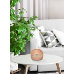 Concept ZV1005 Perfect Air Wood 2 v 1 aroma difuzér světle hnědý – Zboží Dáma