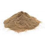 FromNature BIO Amalaki Amla prášek 100 g – Sleviste.cz