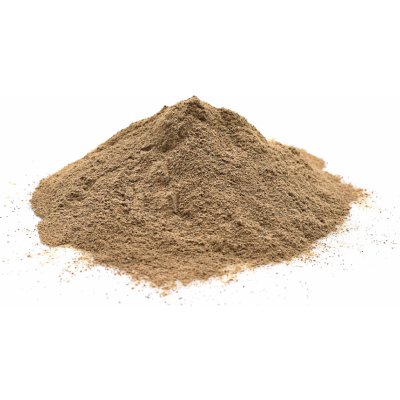 FromNature BIO Amalaki Amla prášek 100 g – Sleviste.cz