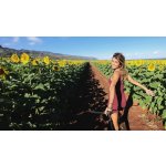 GoPro HERO – Zboží Živě