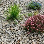 Slapaky.cz Kamenná kůra - drť 11-32 mm – Sleviste.cz