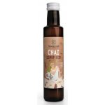 Sonnentor Chai sirup bio 250 ml – Hledejceny.cz