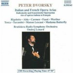 Peter Dvorsky - Not Found CD – Hledejceny.cz