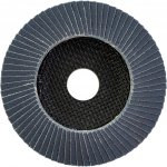 Milwaukee Lamelový kotouč 125 mm K40 4932472224 – Zboží Dáma