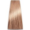 Barva na vlasy ProSalon Professional 9/32 100 g