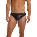 Tyr Ison Brief Titanium – Zbozi.Blesk.cz