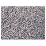 Karel Nikl Kapří mini peletky 1 kg – Hledejceny.cz