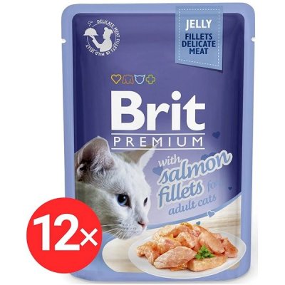 Brit Premium Cat Delicate Fillets in Jelly with Salmon 12 x 85 g – Zboží Mobilmania