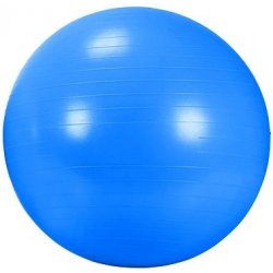 DMA AGB 434BL Rehabilitační míč GYM BALL 65 cm