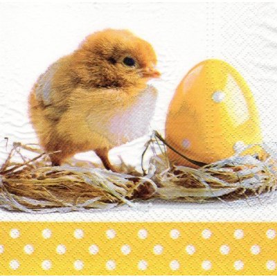 Ubrousek 33x33 KUŘÁTKO – Zbozi.Blesk.cz