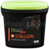 Krmivo a vitamíny pro koně Premin Plus Stallion 1 kg