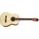 Cort AC100SG