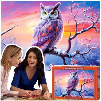 Castorland Castor Dokonalý večer se sovou 500 dílků – Hledejceny.cz