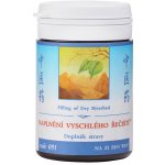 TCM Herbs Naplnění vyschlého řečiště 100 tablet – Hledejceny.cz