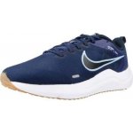 Nike Downshifter 12 M DD9293-400 shoe – Sleviste.cz